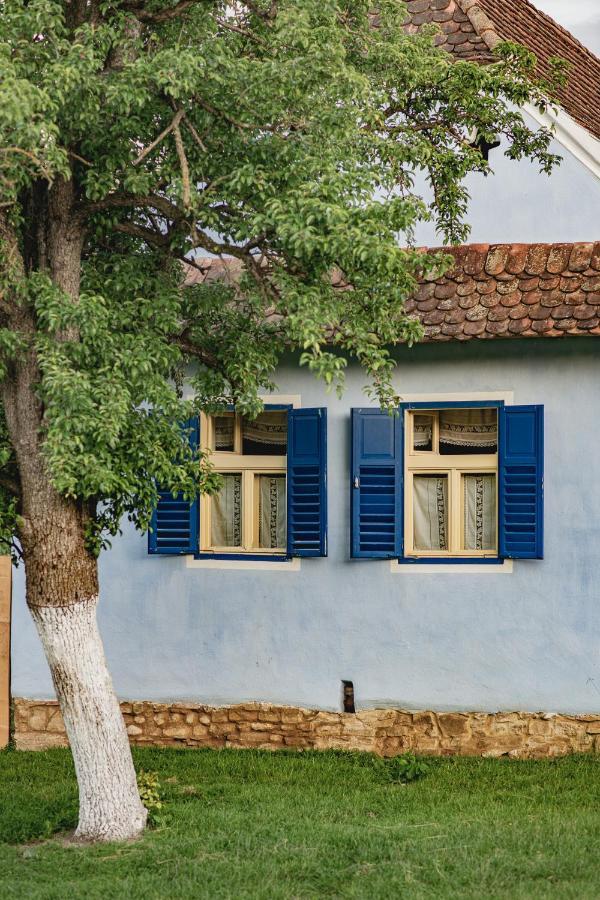 Experience Transylvania Viscri 161A Εξωτερικό φωτογραφία
